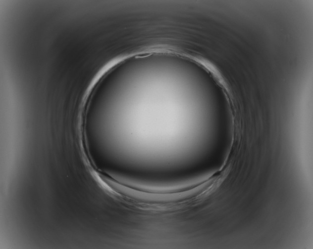 X0000086041438200704131925