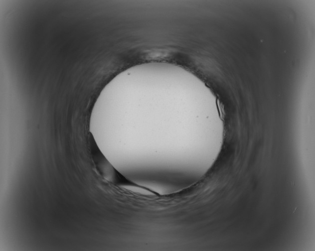 X0000086041441200704131924