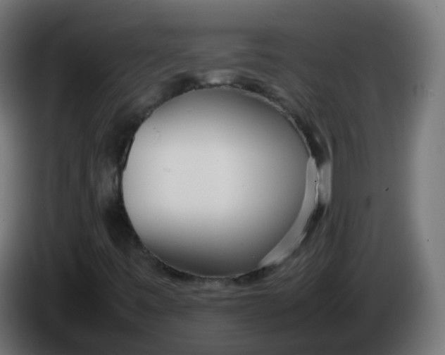X0000086041443200704131924