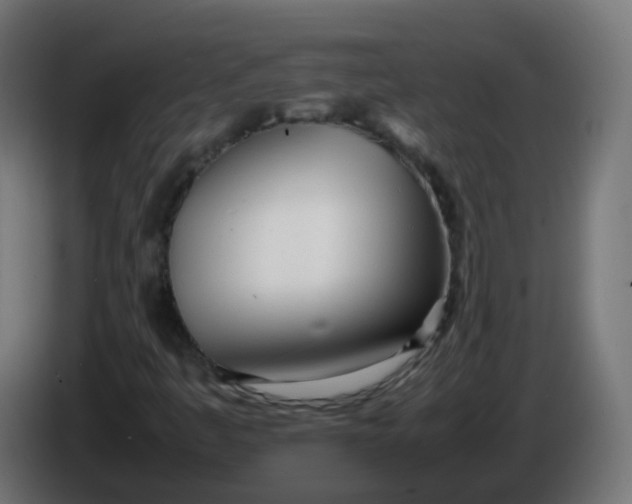 X0000086041445200704131924