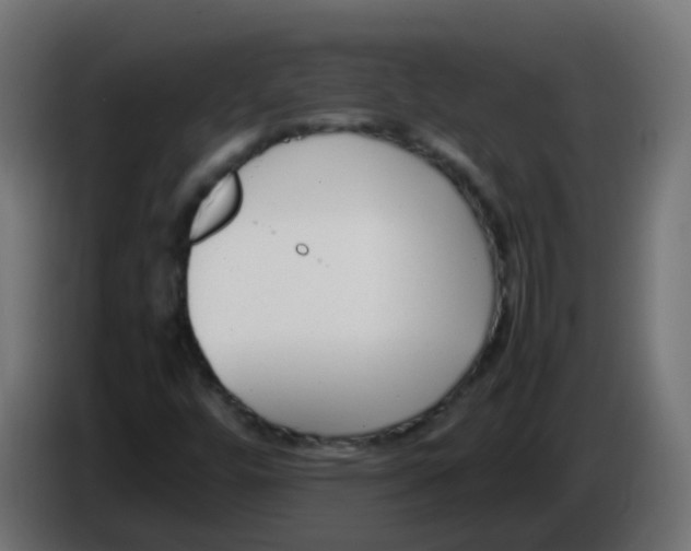 X0000086041448200704131924