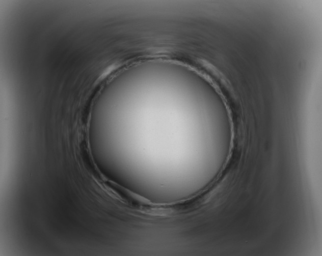 X0000086041449200704131924