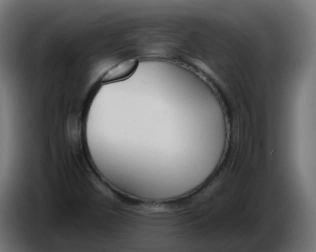 X0000086041450200704131924