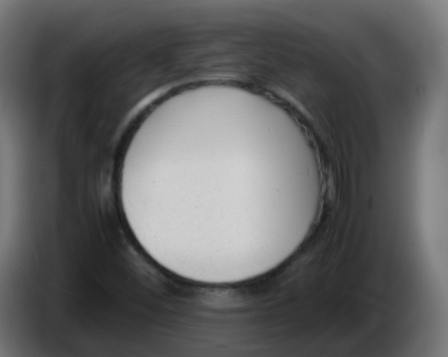 X0000086041452200704131924