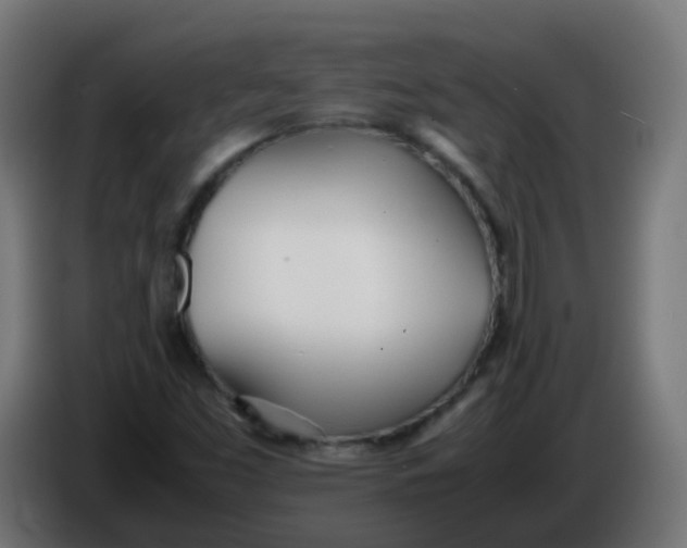 X0000086041453200704131924