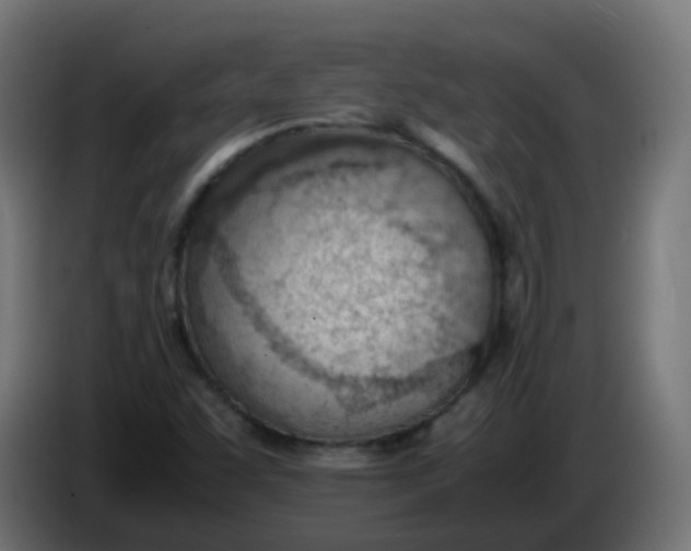 X0000086041455200704131924