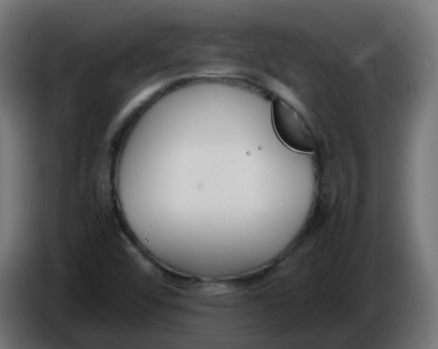 X0000086041456200704131924