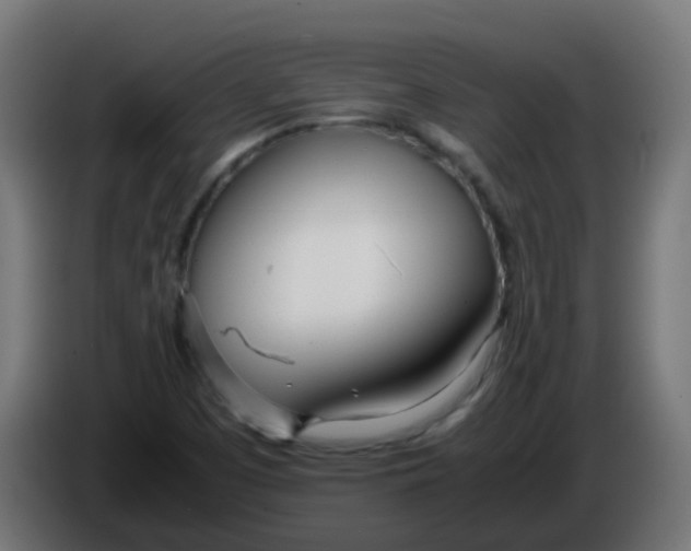 X0000086041457200704131924