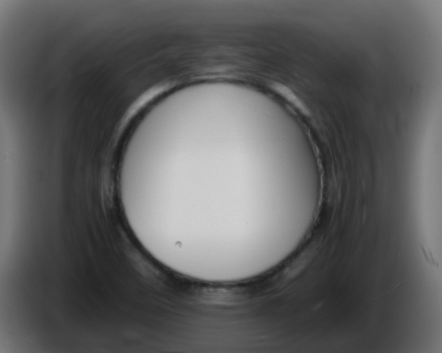 X0000086041458200704131924