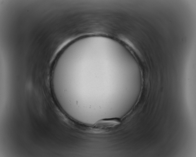 X0000086041460200704131924
