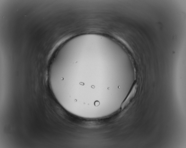 X0000086041461200704131924