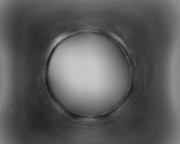 X0000086041463200704131924