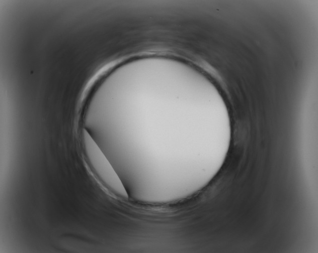 X0000086041464200704131924