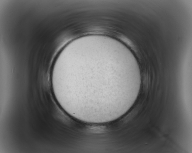 X0000086041466200704131924