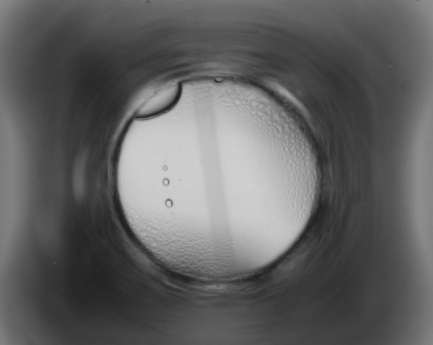 X0000086041467200704131924