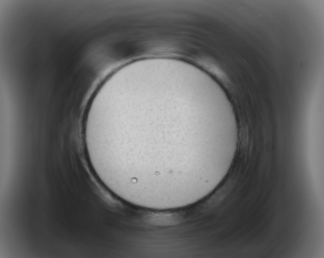 X0000086041470200704131924