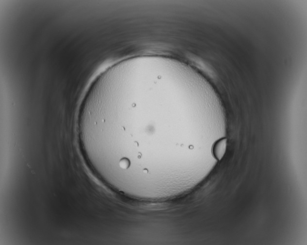 X0000086041471200704131924