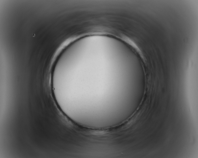 X0000086041472200704131924