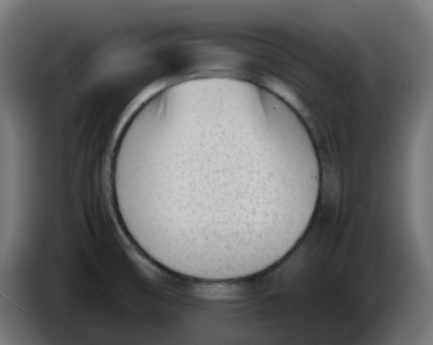 X0000086041474200704131924