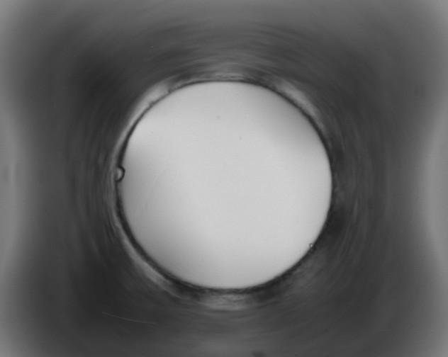 X0000086041475200704131924