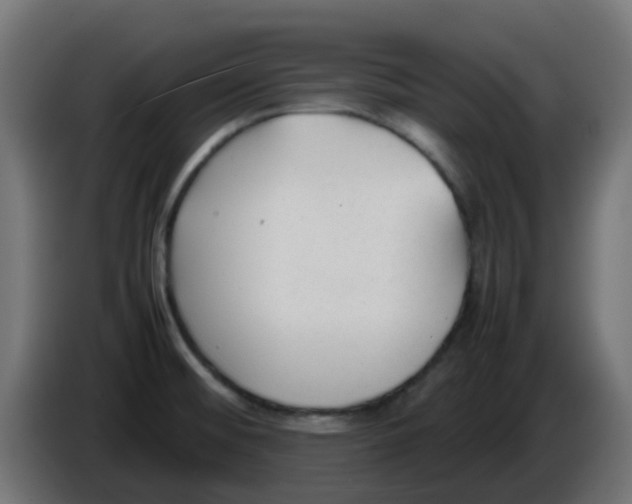 X0000086041476200704131924