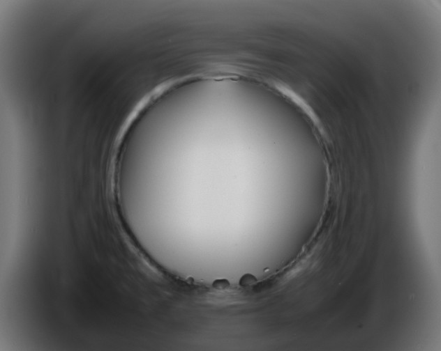 X0000086041477200704131924