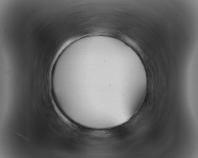 X0000086041479200704131924
