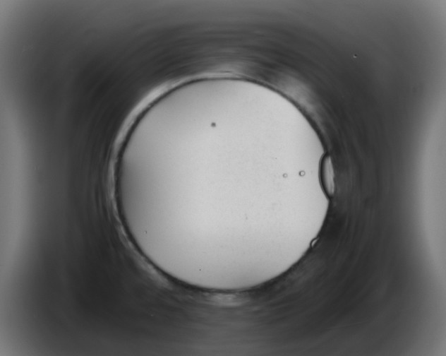 X0000086041480200704131924