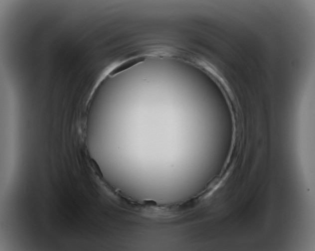 X0000086041481200704131924