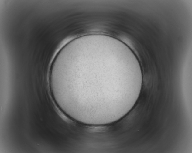 X0000086041482200704131924