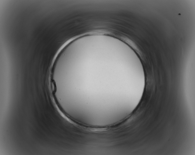 X0000086041484200704131924