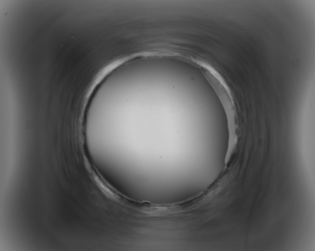 X0000086041485200704131924