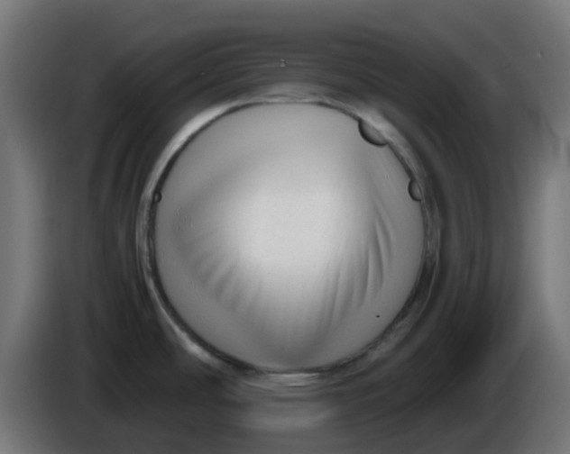 X0000086041486200704131924