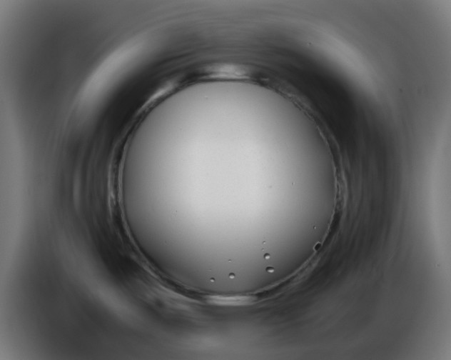 X0000086041487200704131924