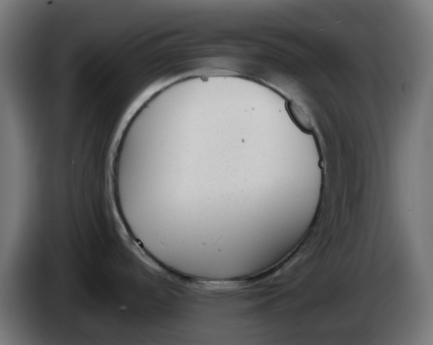 X0000086041488200704131924