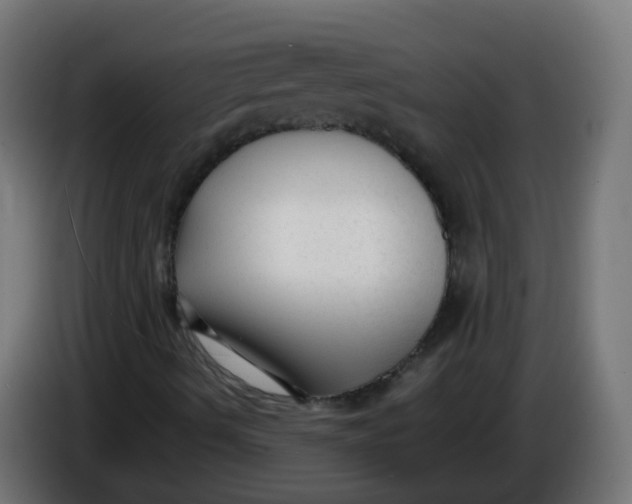 X0000086041490200704131923