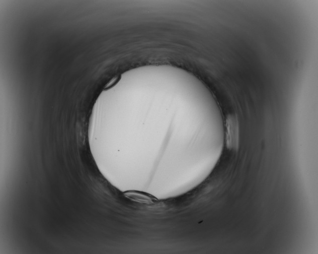 X0000086041491200704131923