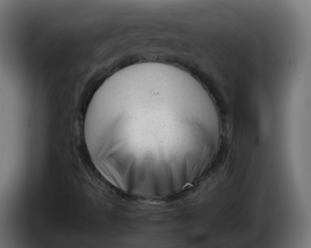 X0000086041493200704131923