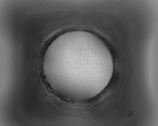 X0000086041494200704131923