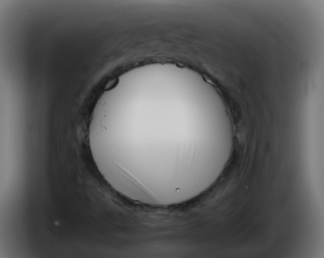 X0000086041495200704131923