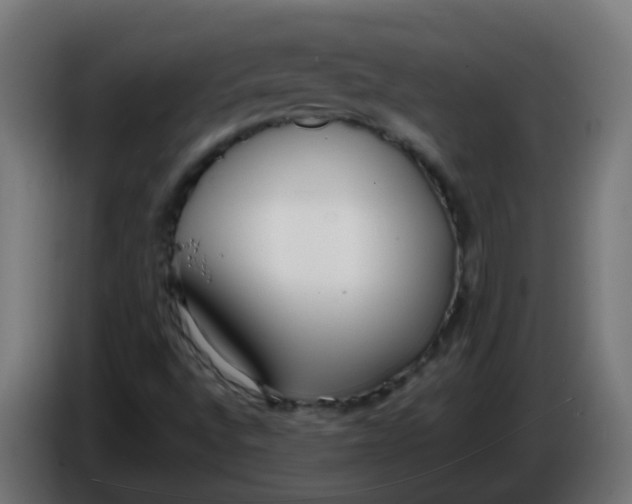 X0000086041496200704131923