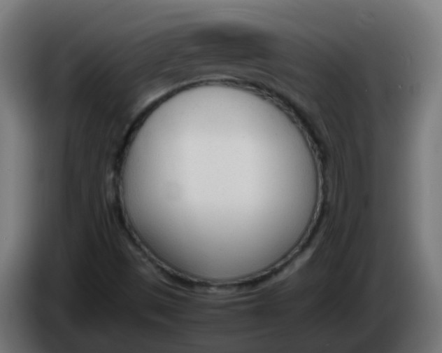 X0000086041497200704131923