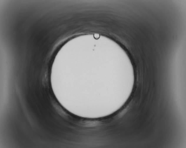 X0000086041498200704131923