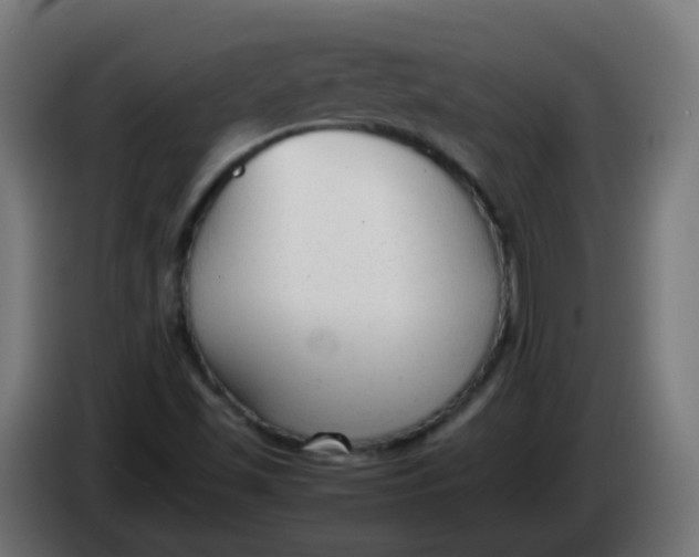 X0000086041501200704131923