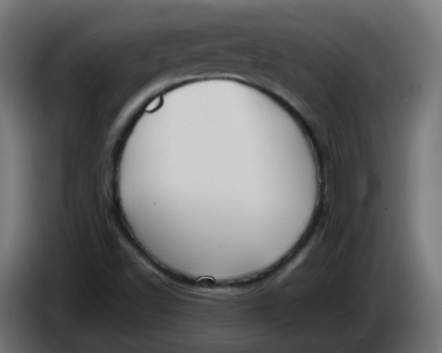 X0000086041502200704131923