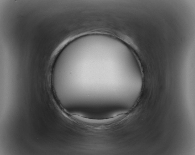 X0000086041504200704131923