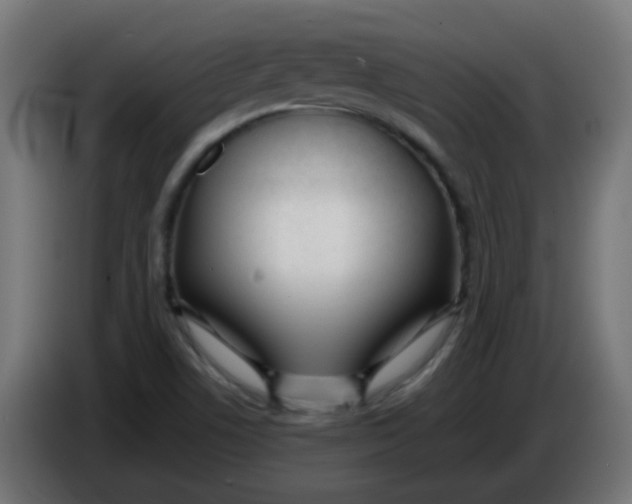 X0000086041506200704131923