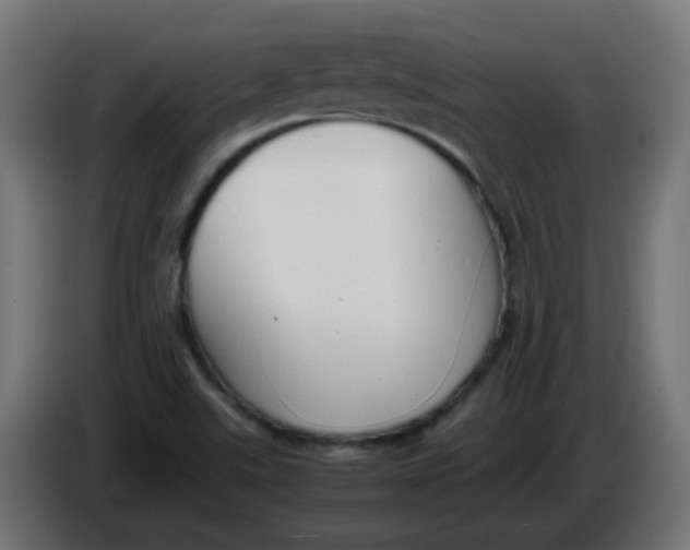 X0000086041507200704131923