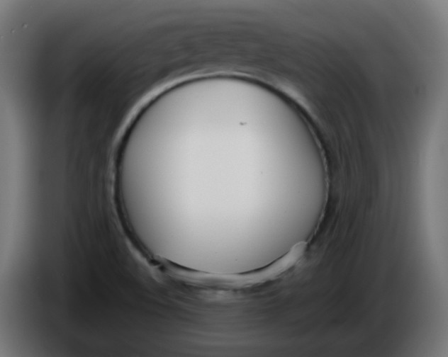 X0000086041508200704131923