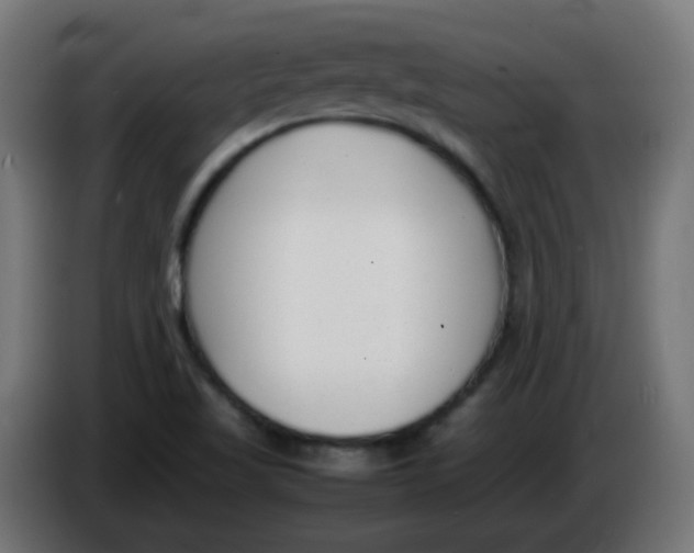 X0000086041509200704131923